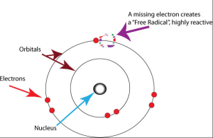 Free radicals are unpaired electrons that damage your cells.